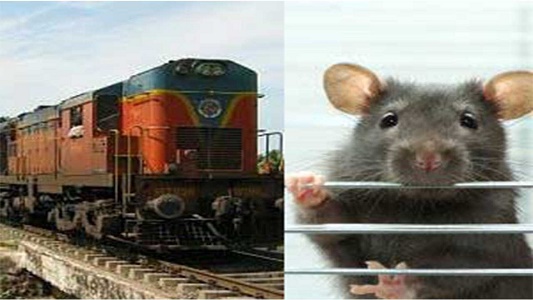 Railways gives supari to kill rats
