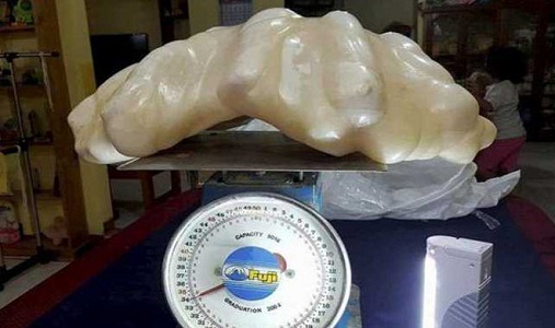 filipino-fisherman-found-a-giant-pearl-in-palawan-island