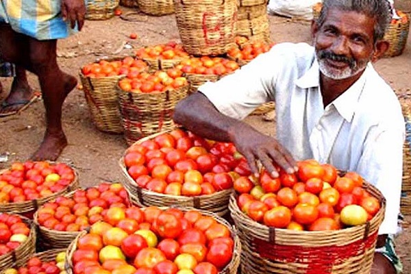Tomato and red, cost up to Rs 100 / kg