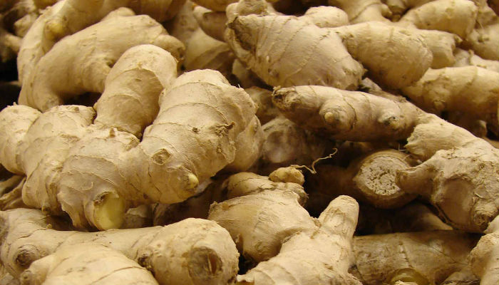 chew-ginger-with-salt-in-problem-of-cough-and-sore